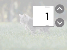 Imagen: pantalla LCD